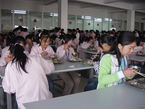 就餐現(xiàn)場(chǎng)展示