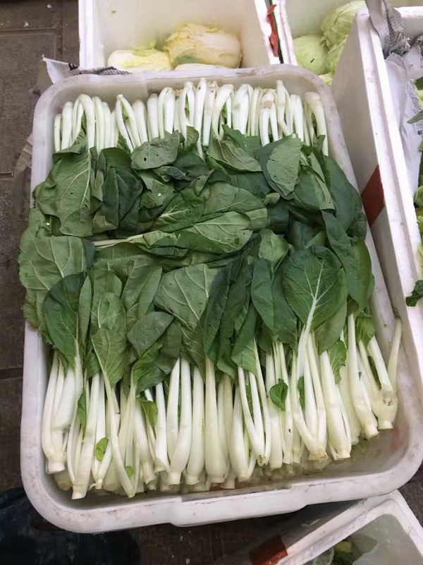 全時(shí)專業(yè)配送 (1)