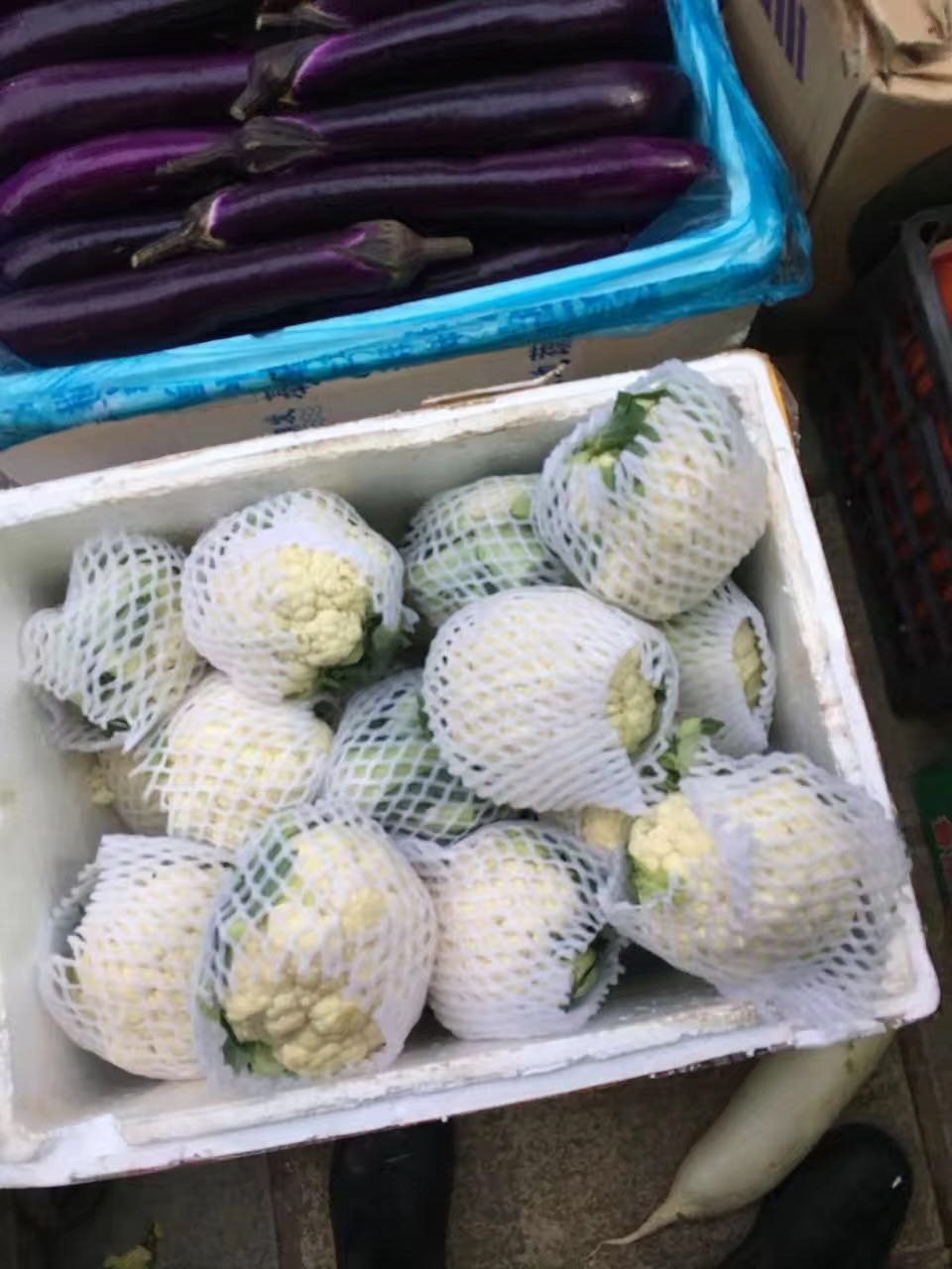 全時(shí)專業(yè)配送 (2)